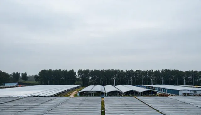 选型关注点:技术培训等的两种做法对比